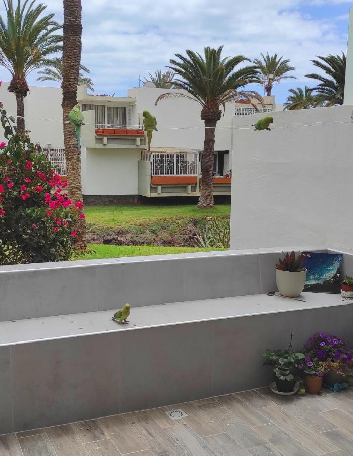 Ideal Holiday Apartment In The South Of Tenerife Costa del Silencio Exterior foto